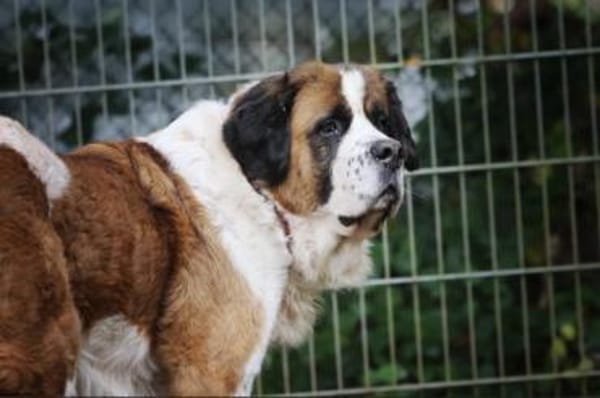 Mia & Oskar suchen ein Zuhause