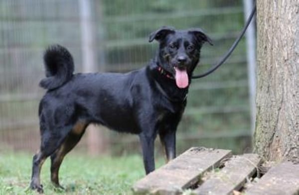 Kaya sucht ihre Familie