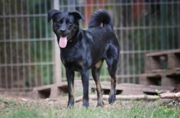 Kaya sucht ihre Familie