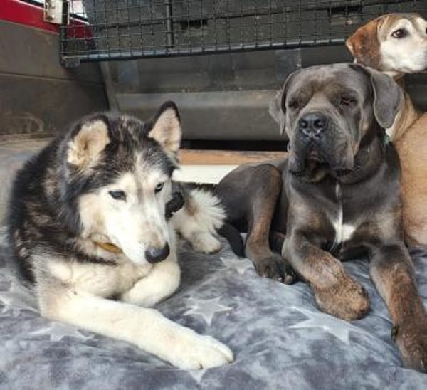 GERRY * menschenbezogen & selbstbewusst