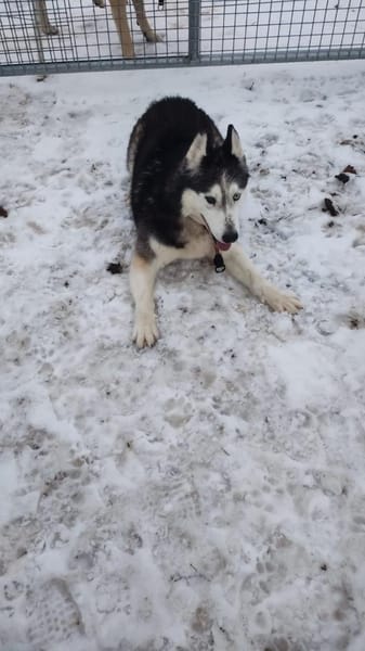 GERRY * menschenbezogen & selbstbewusst