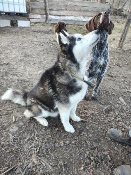 GERRY * menschenbezogen & selbstbewusst