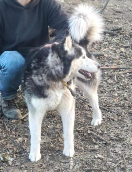 GERRY * menschenbezogen & selbstbewusst