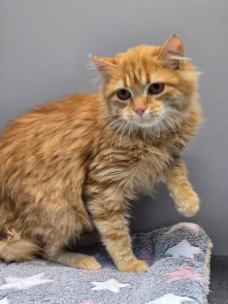 AMELIE&KIKI -zwei Herzen auf vier Pfoten