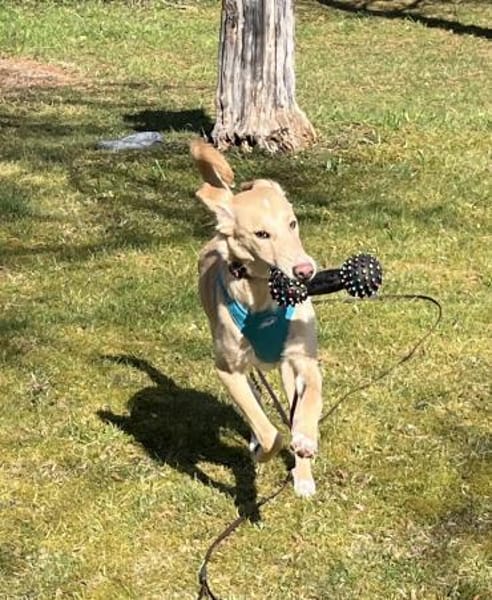 Hallo, erstmal - ich bin BARNEY