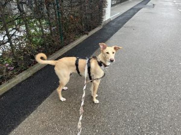 Hallo, erstmal - ich bin BARNEY