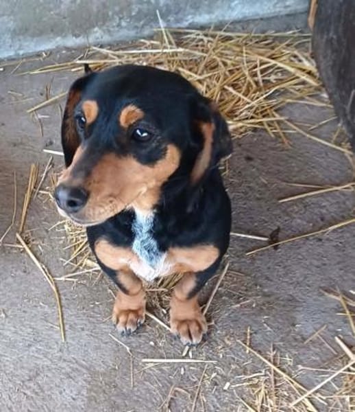 Isa wurde alleine zurückgelassen