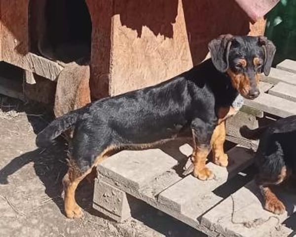 Isa wurde alleine zurückgelassen