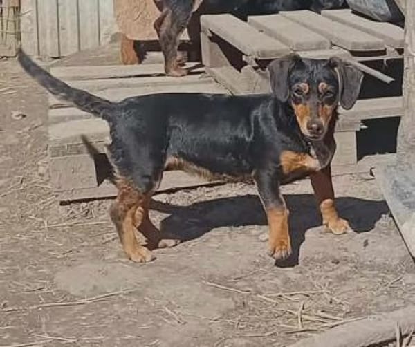 Isa wurde alleine zurückgelassen