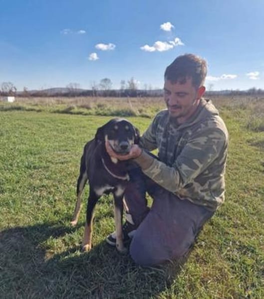 Alex💙 sucht Pflegestelle/Endstelle