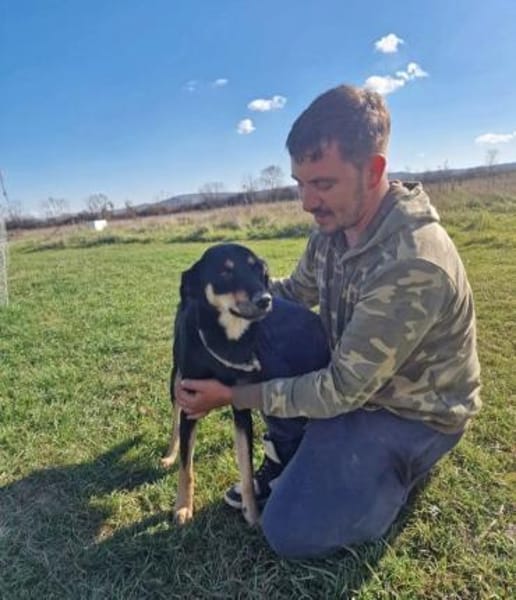 Alex💙 sucht Pflegestelle/Endstelle