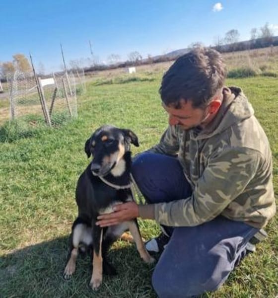 Alex💙 sucht Pflegestelle/Endstelle