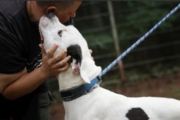 Flocke sucht ein standfestes Zuhause