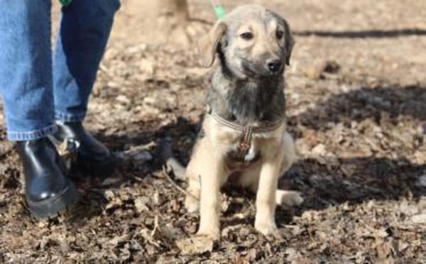 Wer begleitet Sarina ins Leben?