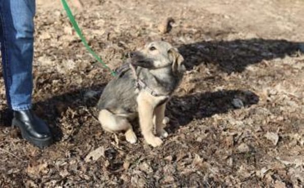 Wer begleitet Sarina ins Leben?