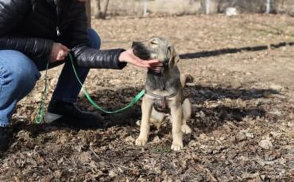 Wer begleitet Sarina ins Leben?