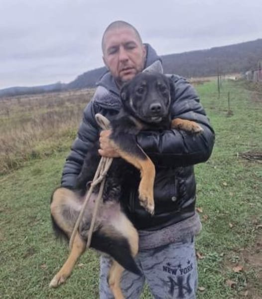 Kiwi 💜sucht Pflegestelle/Endstelle