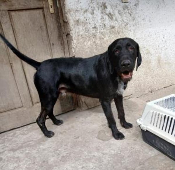 Duda sucht seine Familie