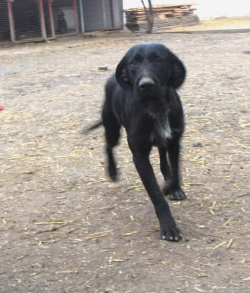 Duda sucht seine Familie