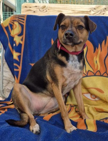 Wunderbare CANELA ❤ Knutschkugel deluxe