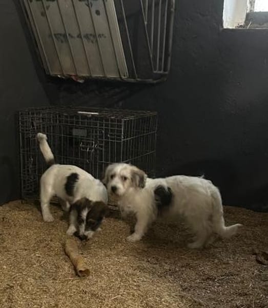 Wir suchen unsere menschen