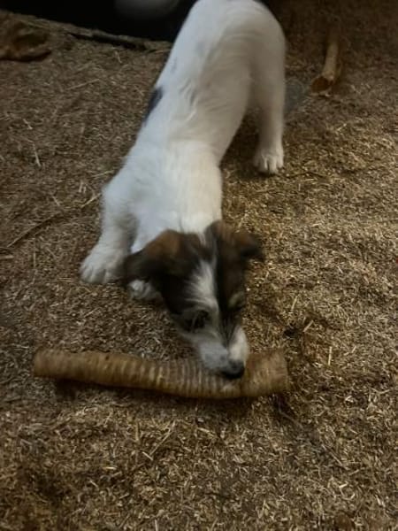 Wir suchen unsere menschen