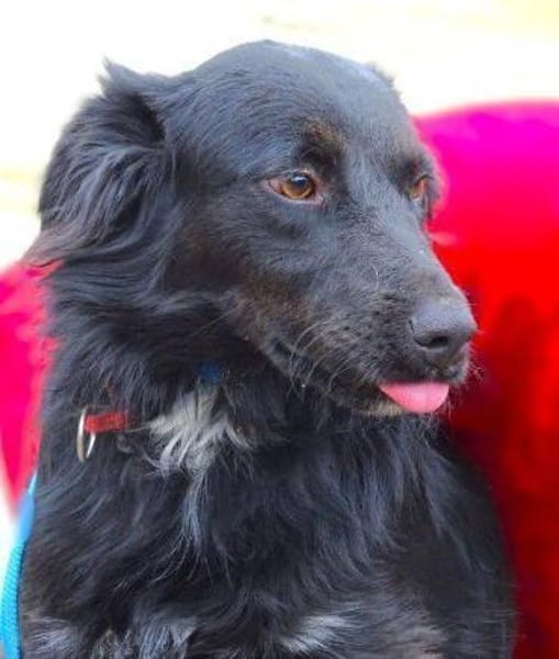 RINA träumt vom eigenen Zuhause