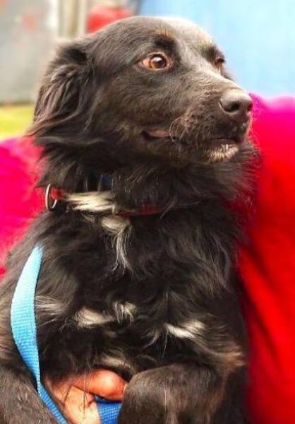 RINA träumt vom eigenen Zuhause