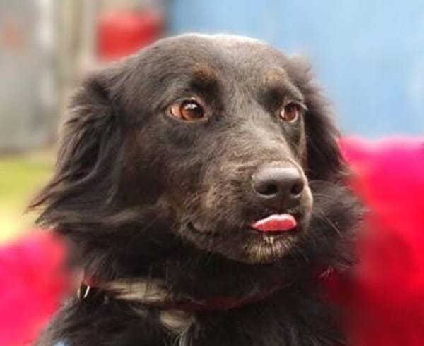 RINA träumt vom eigenen Zuhause