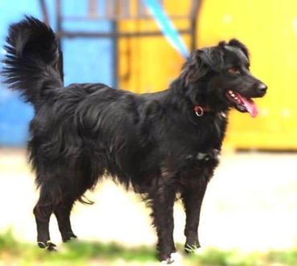 RINA träumt vom eigenen Zuhause