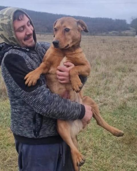 Brouwnie💙 sucht  Pflegestelle/Endstelle