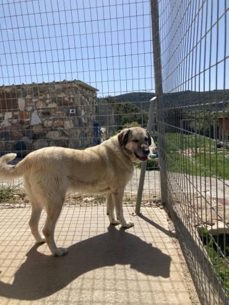 Ira hat ihr Zuhause verloren