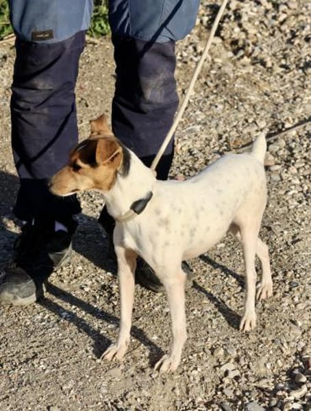 Lara, freundlich, klug, neugierig