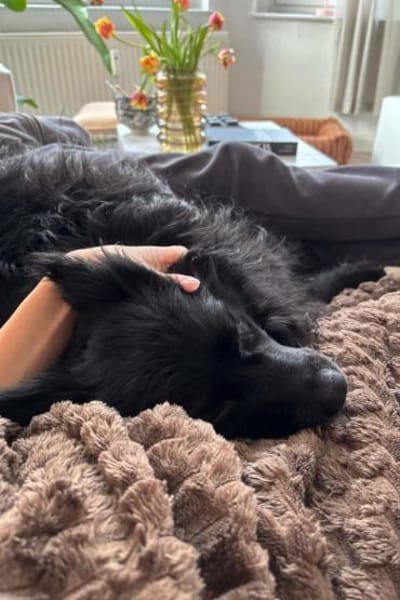 Besuche Daisy in 04157 Leipzig ❤