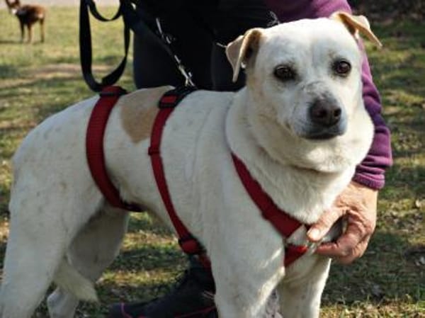 Coco, respektvoll, neugierig, offen