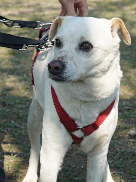 Coco, respektvoll, neugierig, offen