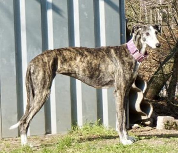 Maggie, offen, souverän, sozial