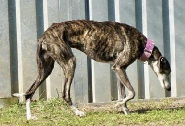 Maggie, offen, souverän, sozial