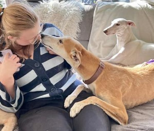 Coin, freundlich, verträglich,lernwillig