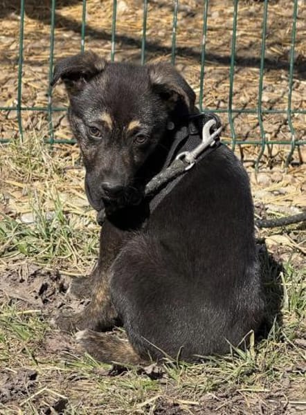 Der kleine Paul sucht sein Zuhause!