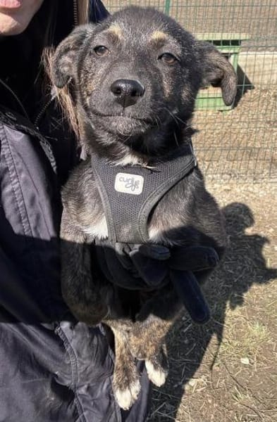 Der kleine Paul sucht sein Zuhause!