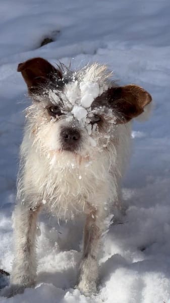 Schüchterne kleine Lola