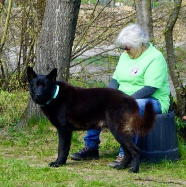 Lobo, sehr sozial, menschenbezogen