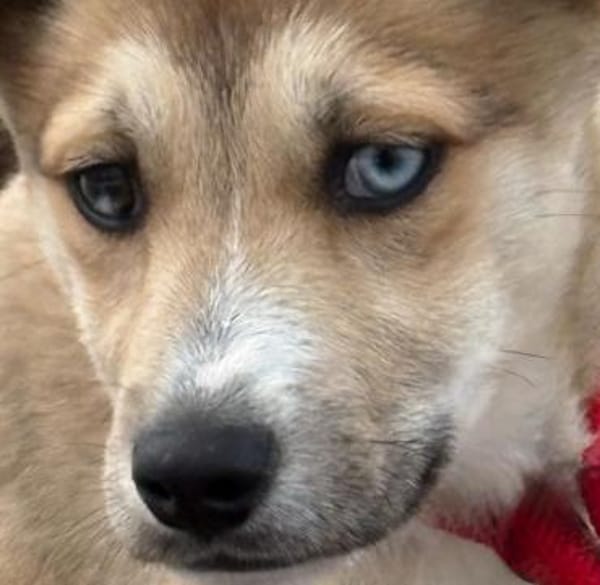 Baldur sucht seine Menschen