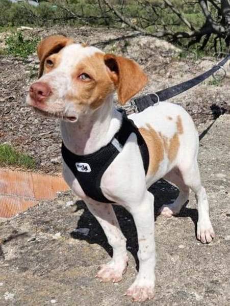 Hix möchte so gerne die Welt entdecken