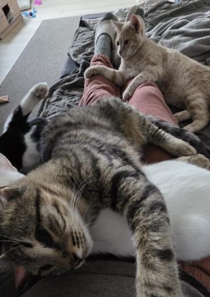 Timo, kleiner Charmeur, ca.10 Monate