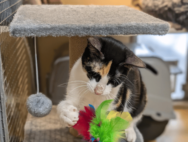 AVA (réservée) A17353