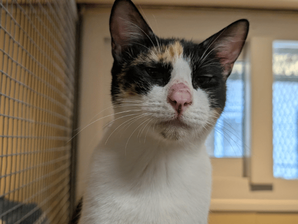 AVA (réservée) A17353