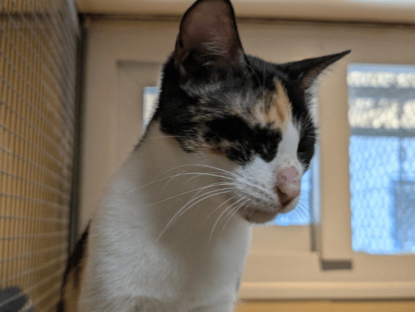 AVA (réservée) A17353