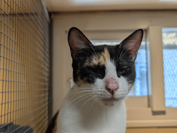 AVA (réservée) A17353